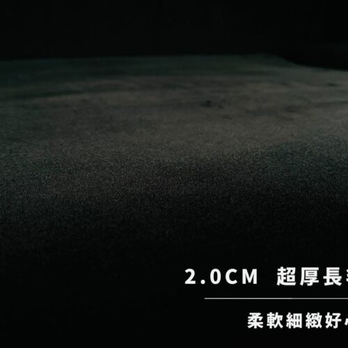 LAFAY 特斯拉 地墊 配件